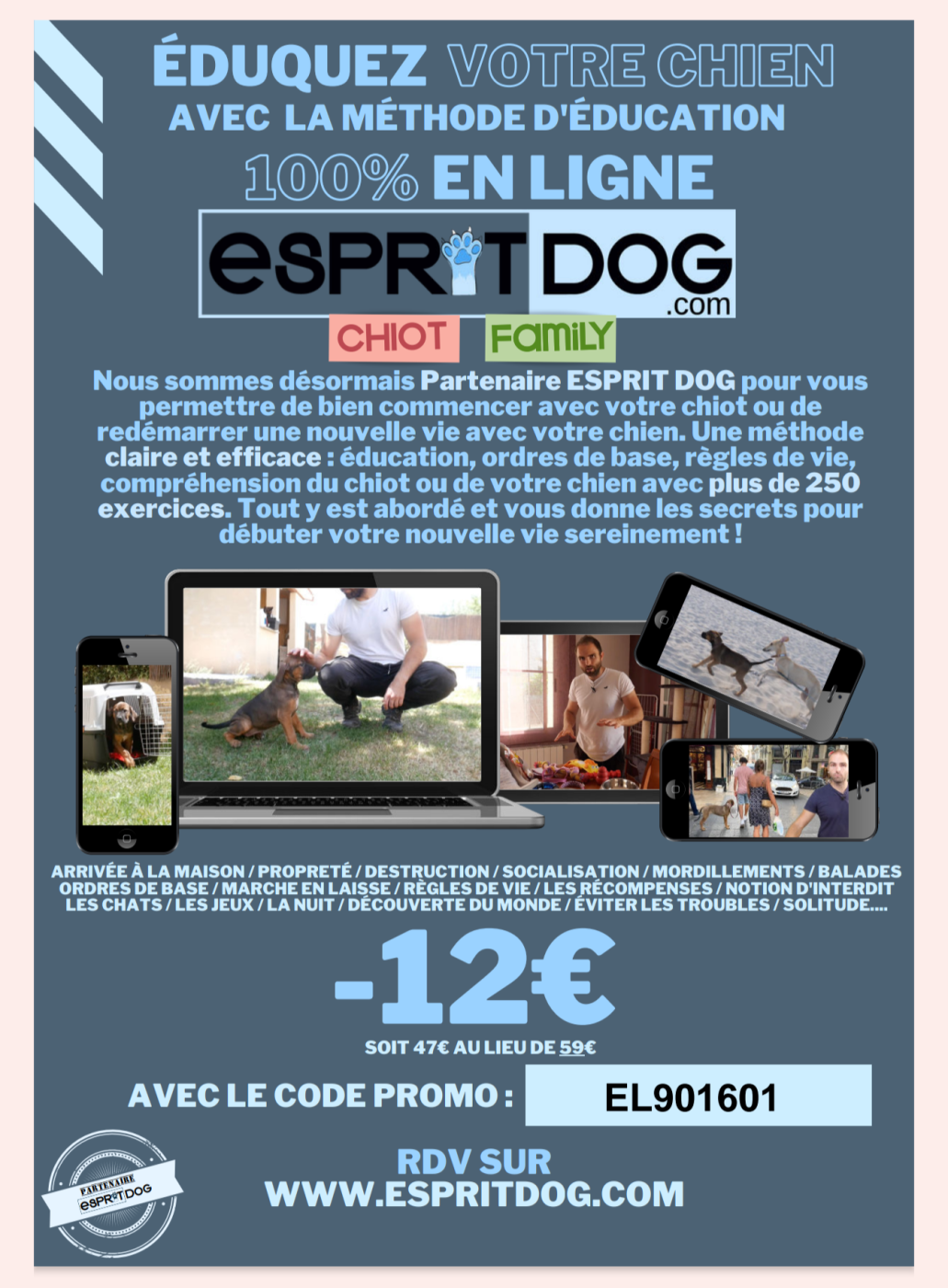 Apprendre a éuquer son chien devrait être une priorité !